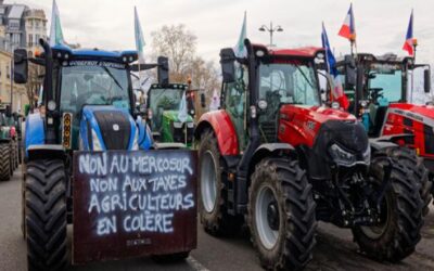 Mercosur, un acuerdo beneficioso para Europa